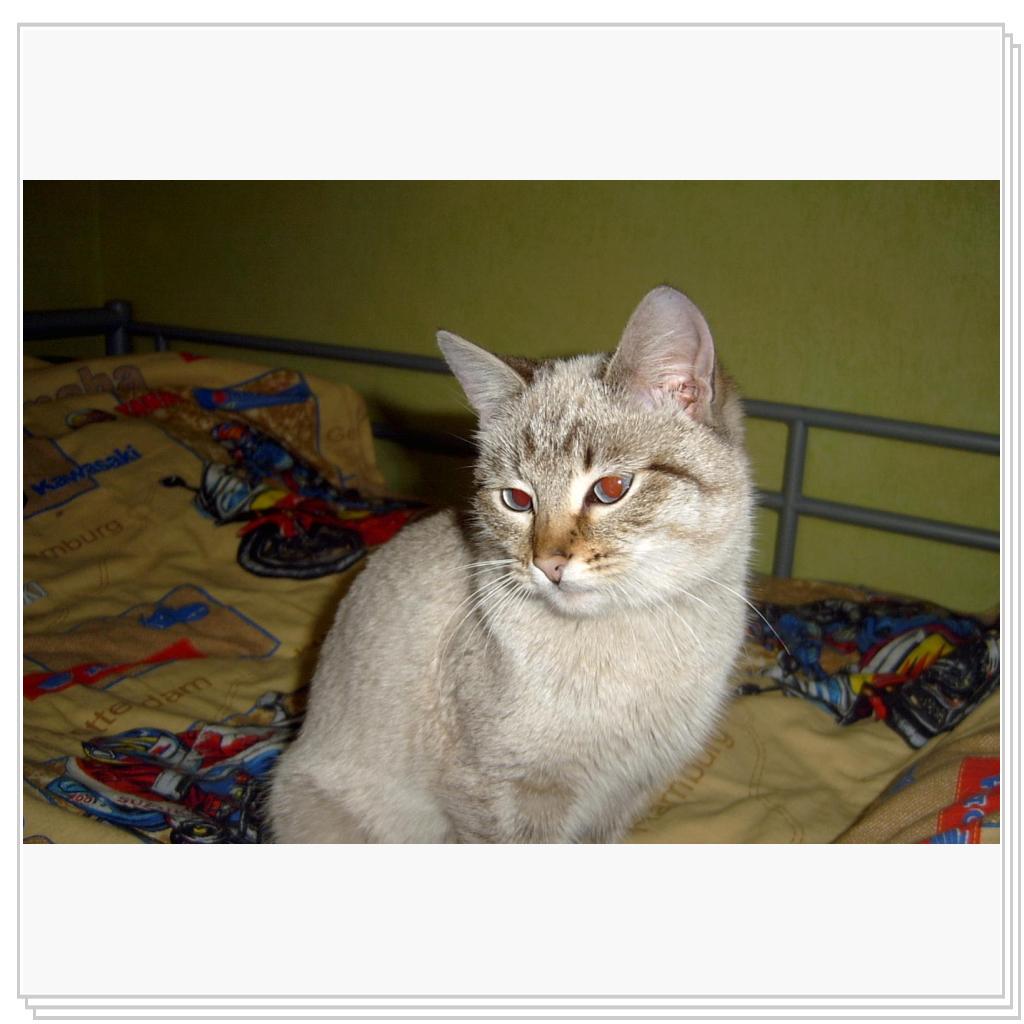 Дынча задумалась