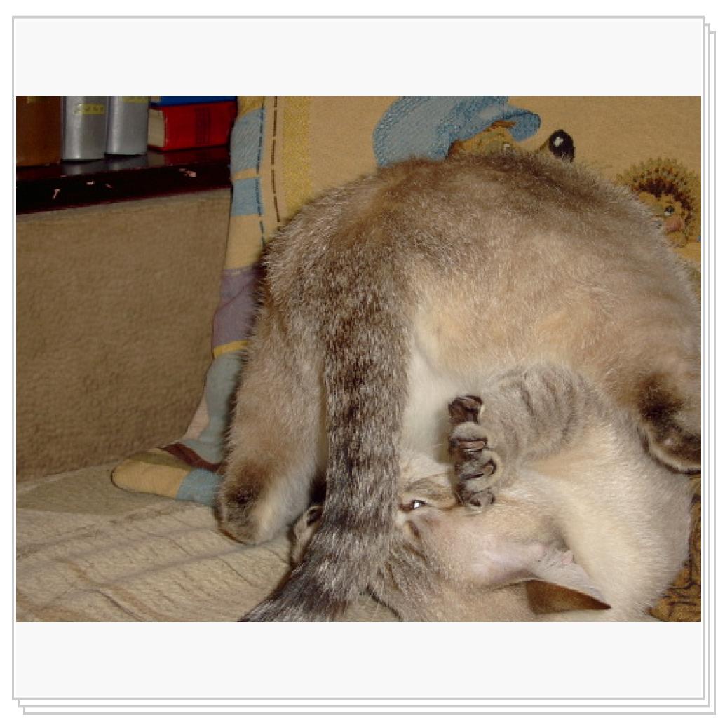 А вам слабо?