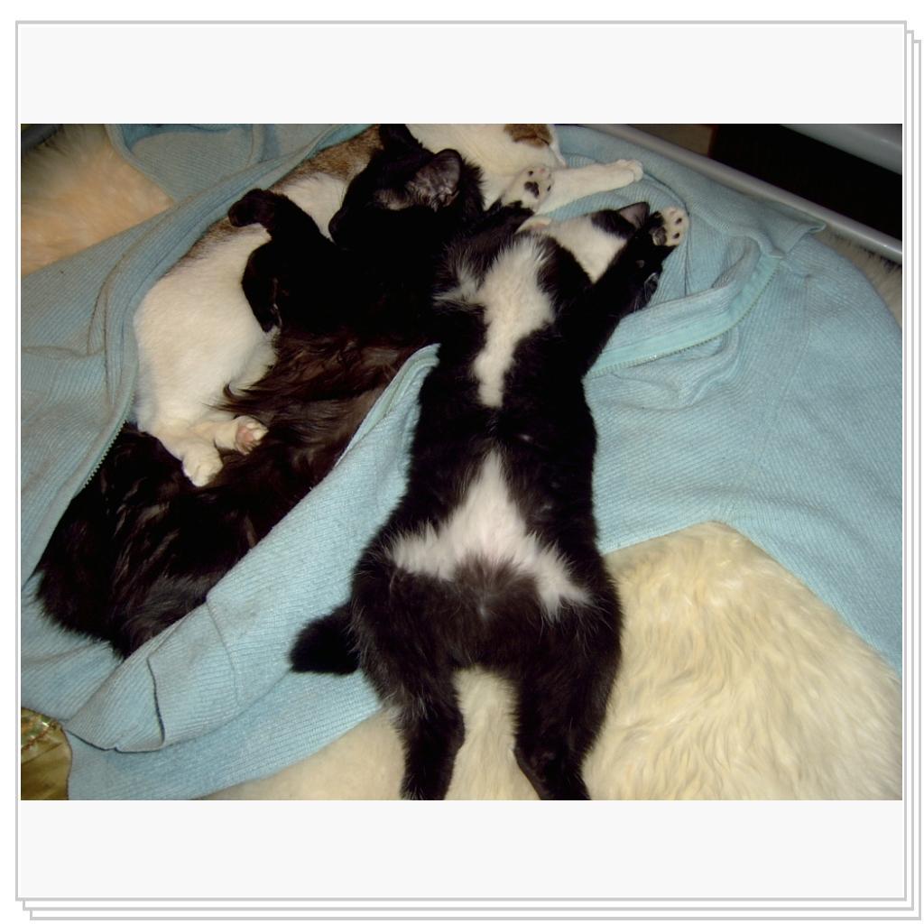 Вот тААаакую рыбу поймал!