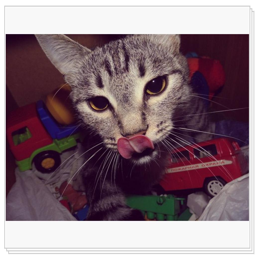 моя Соничка