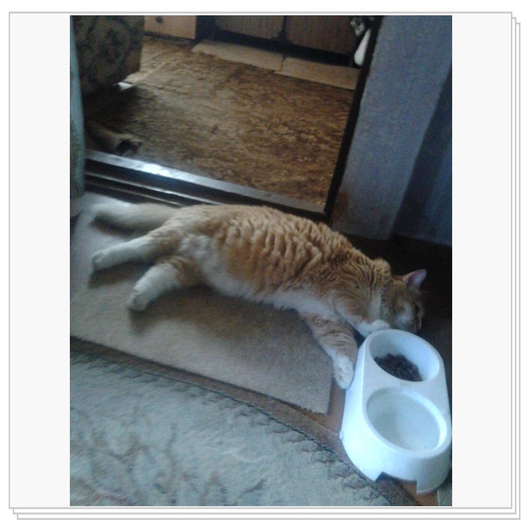 Нюша после трудового дня в деревне