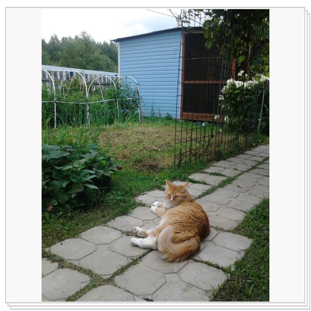 как Нюша проводит лето