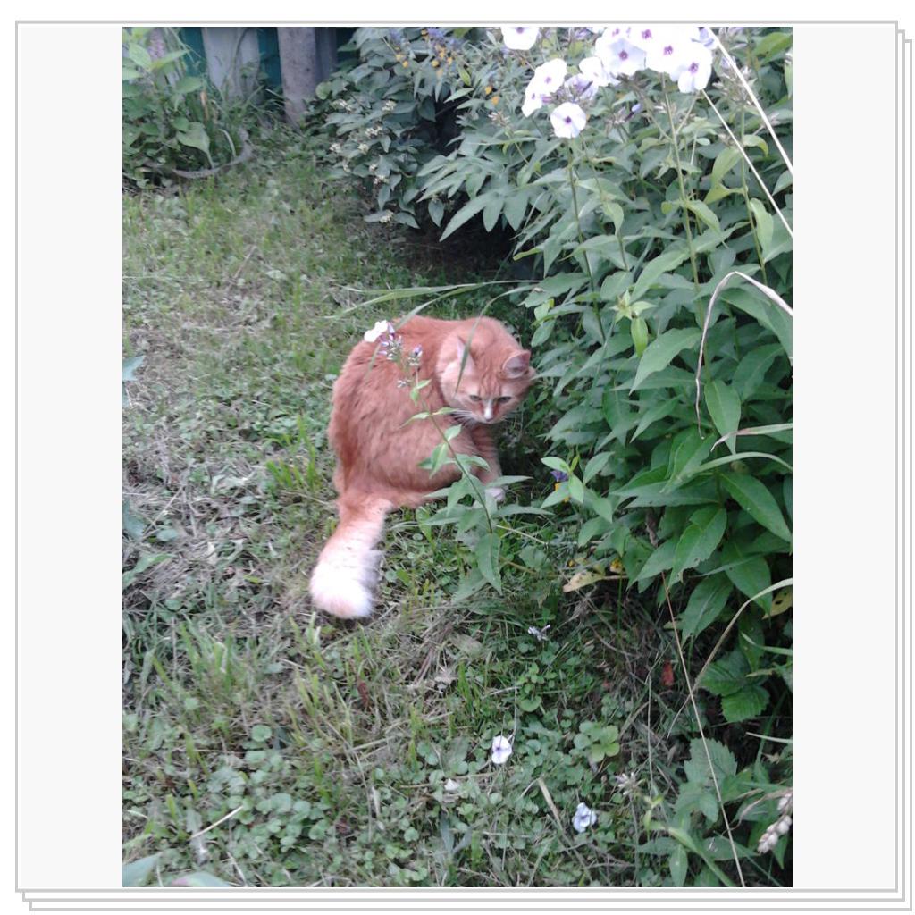 как Нюша проводит лето