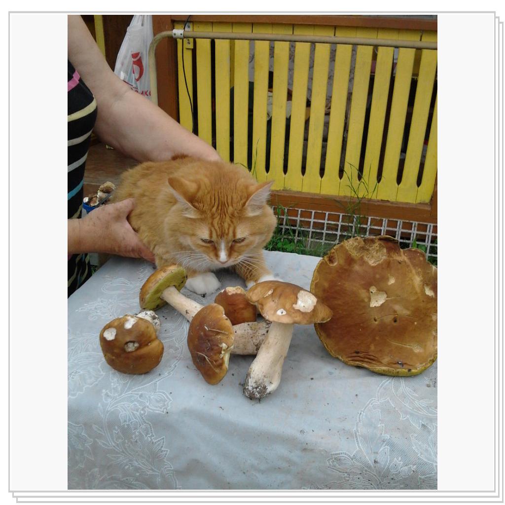 как Нюша проводит лето