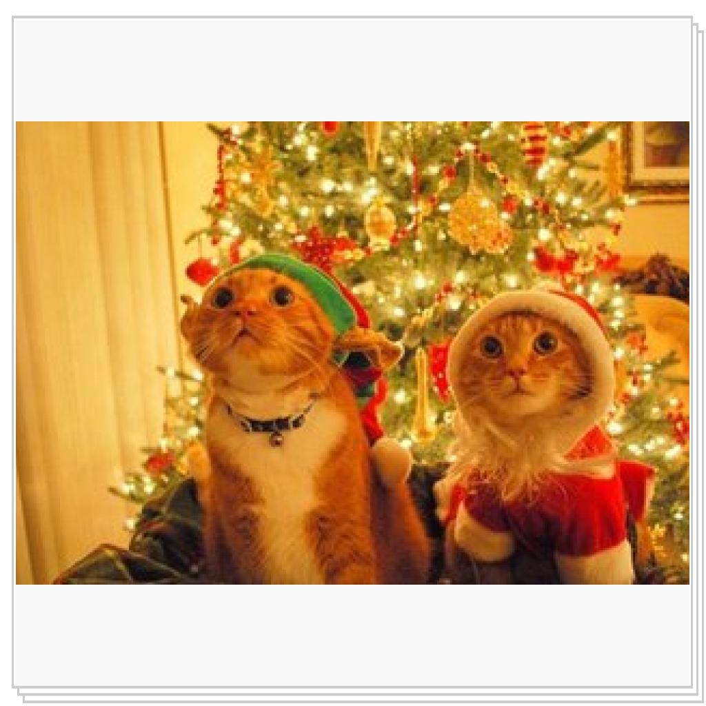 Я думала ельфов нет