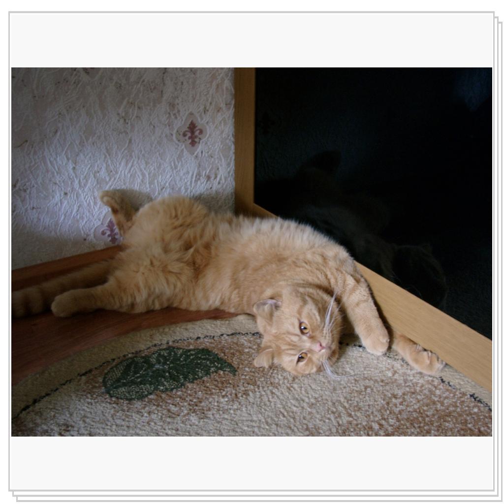 Рыжий балдеет