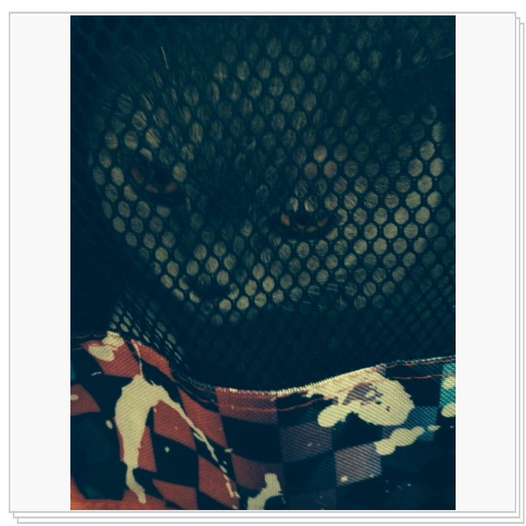 Глаша в переноске)