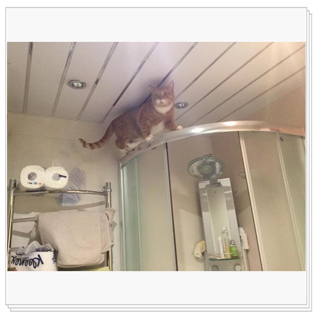 Поручик Рыжевский