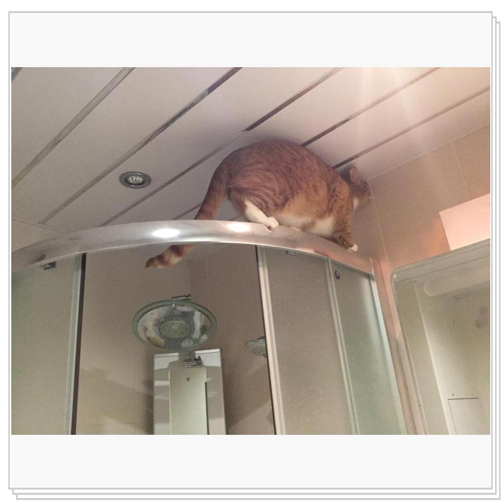 Поручик Рыжевский