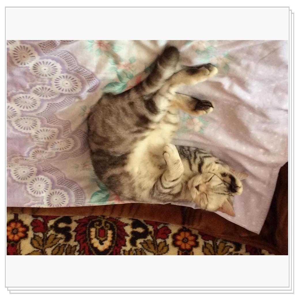 Наша Юлисса