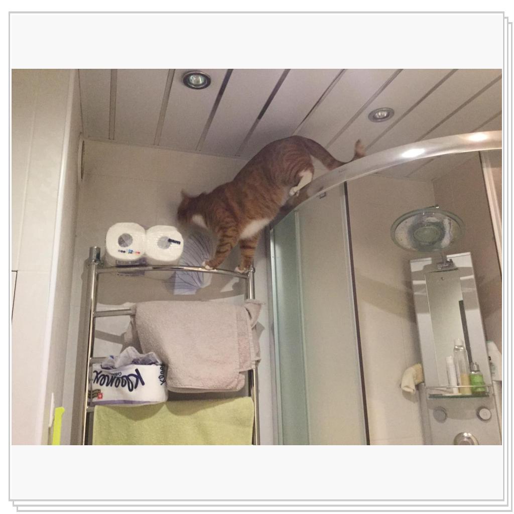 Поручик Рыжевский