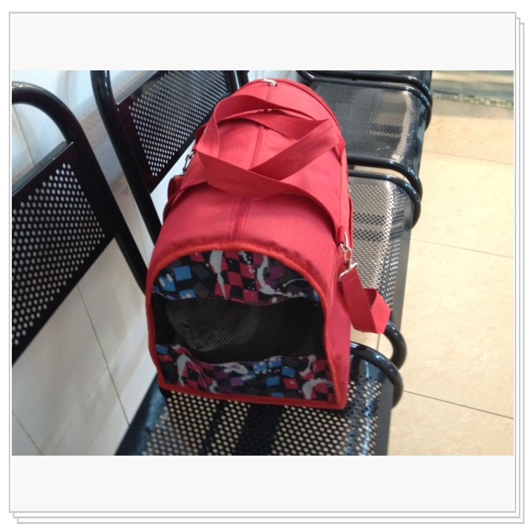 Ходили с Глашей в ветклинику