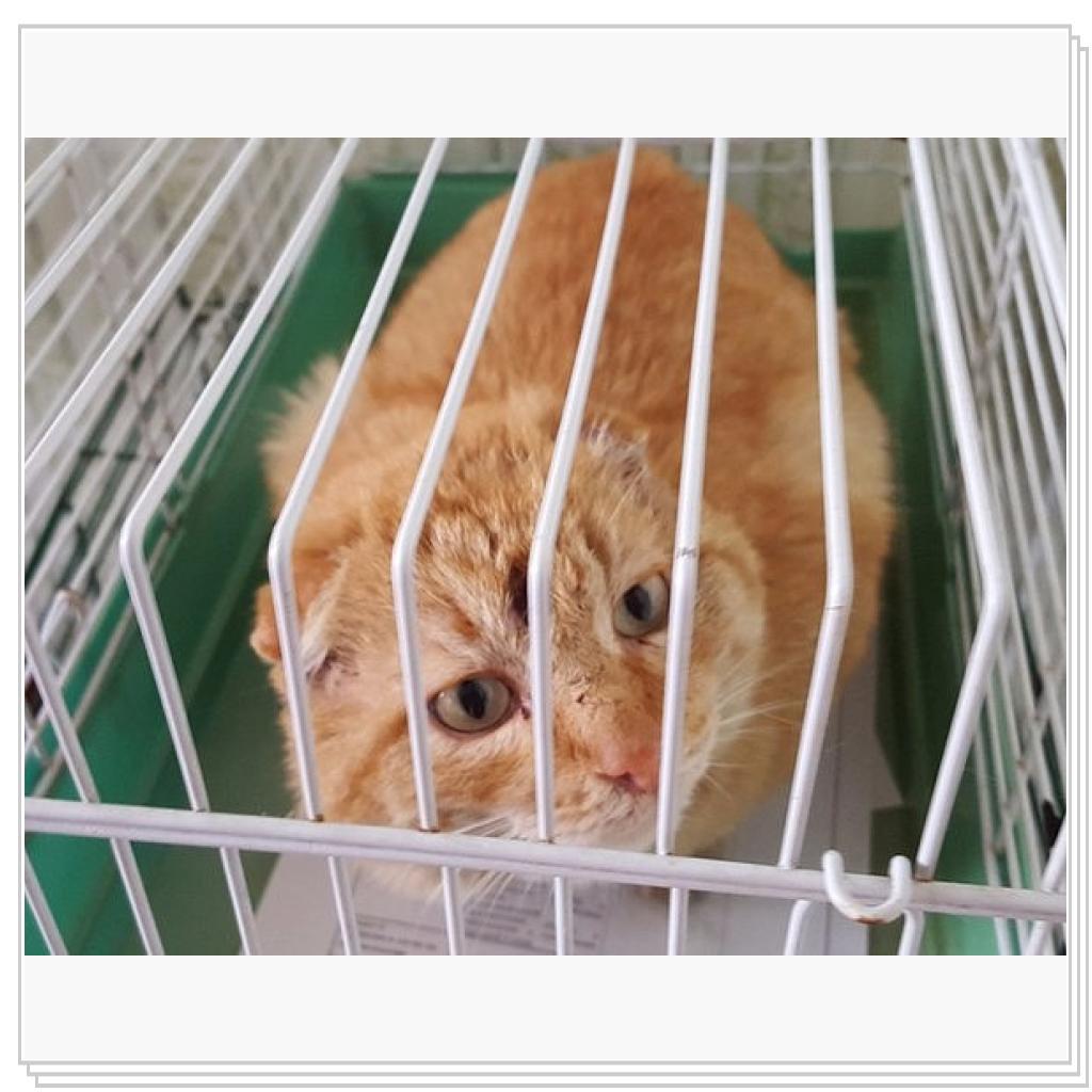 С улицы домой