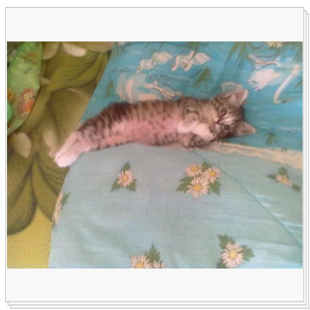 Вот вам Дарья