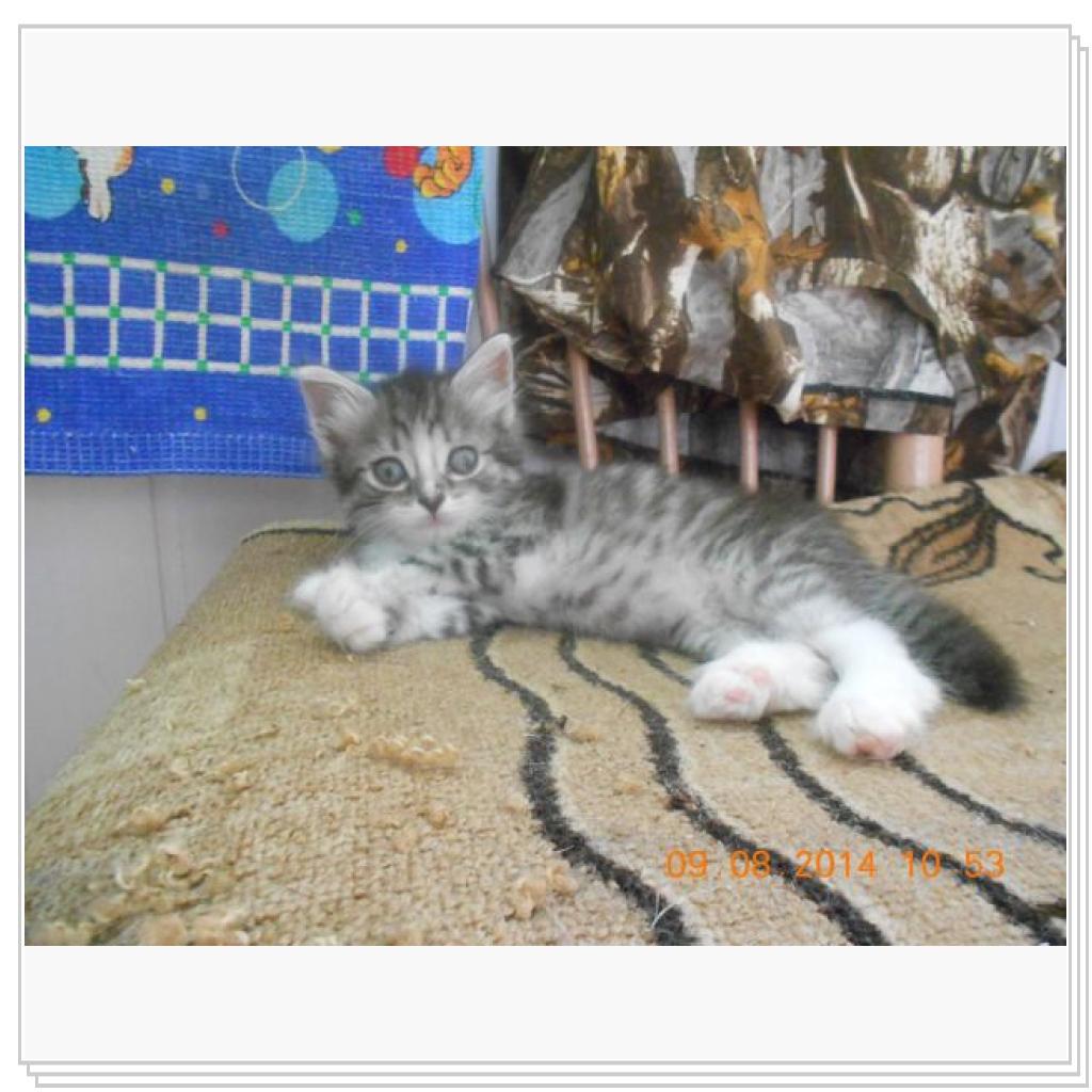 Вот вам Дарья