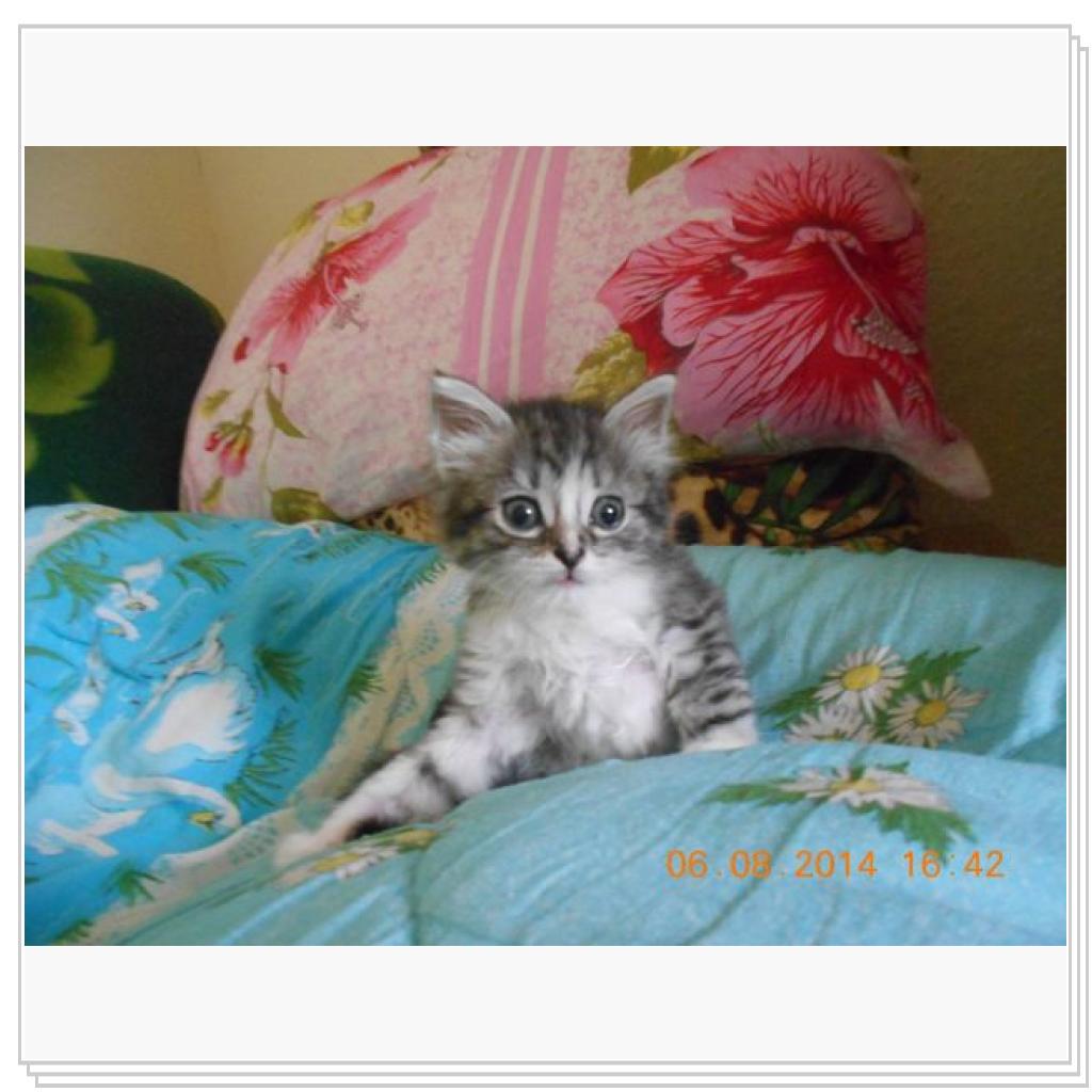 Вот вам Дарья