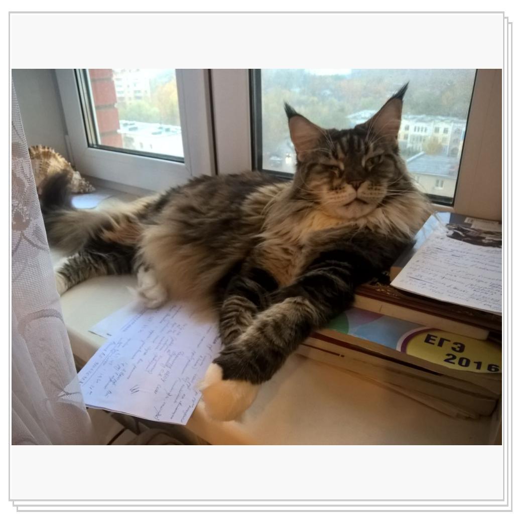 лежу, в окно гляжу)))