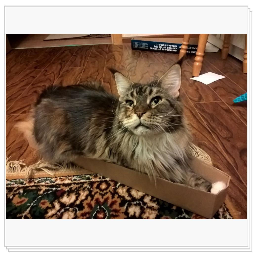 помещаюсь во все узкие места