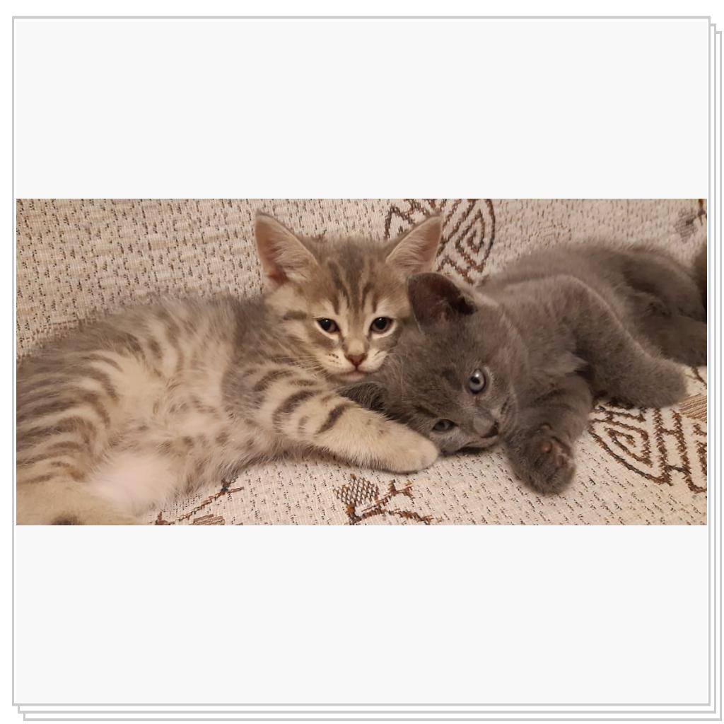 Марсик с братиком