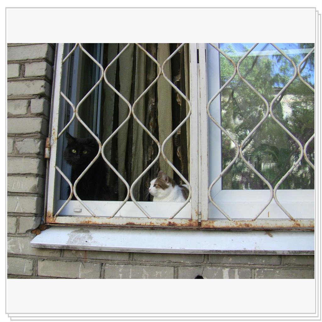 Сидим за решеткой)))