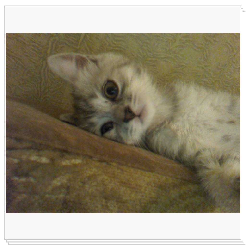 Снежана маленькая