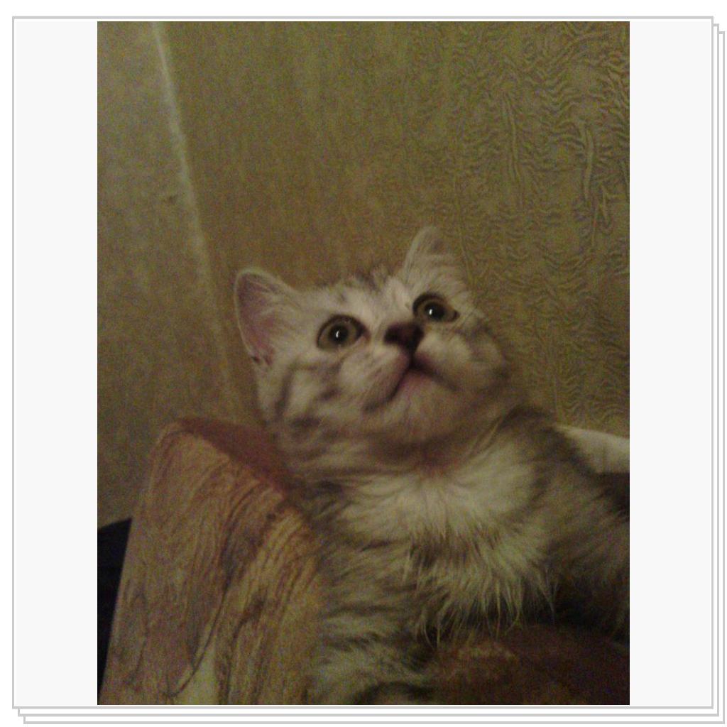 Снежана маленькая