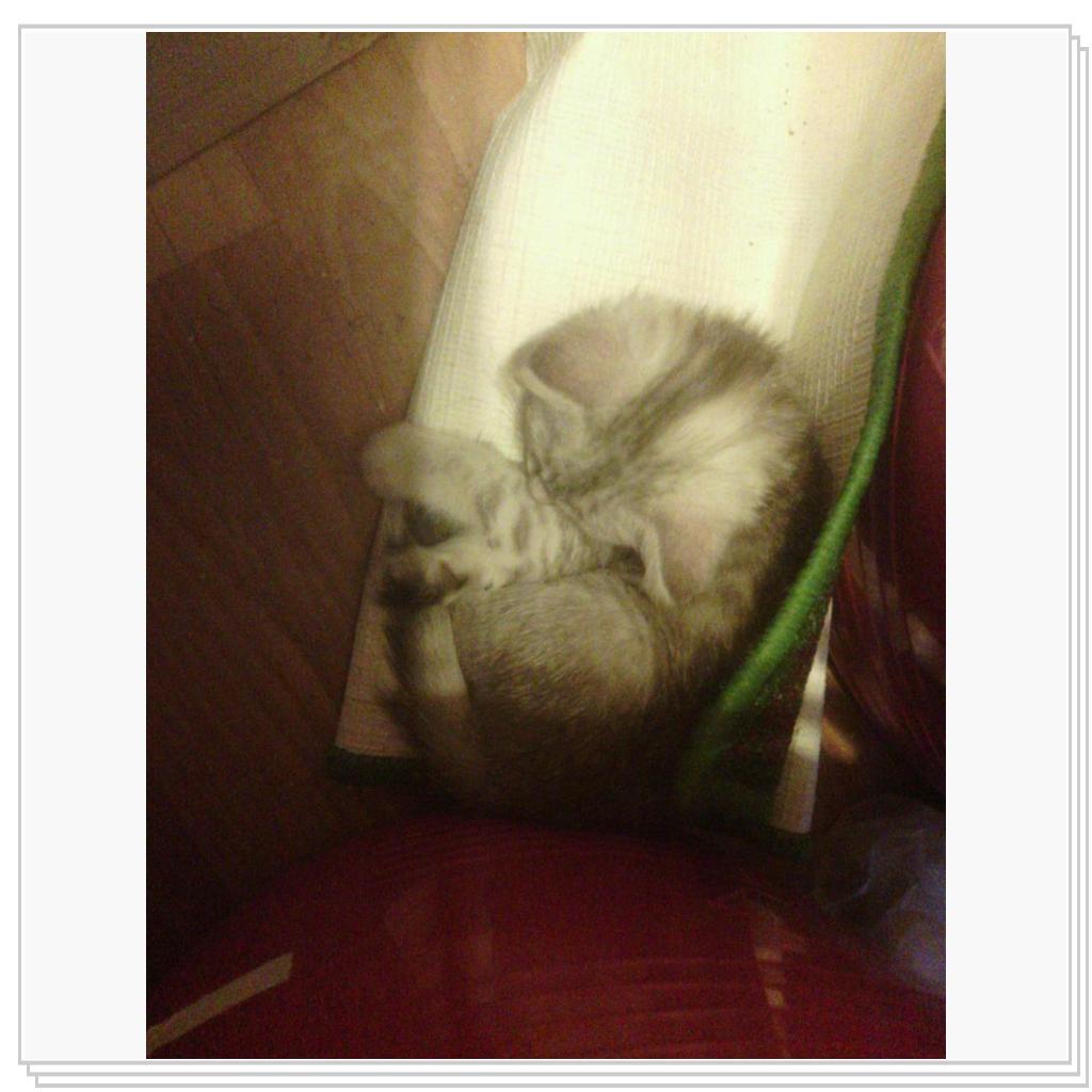 Снежана-малышка спит