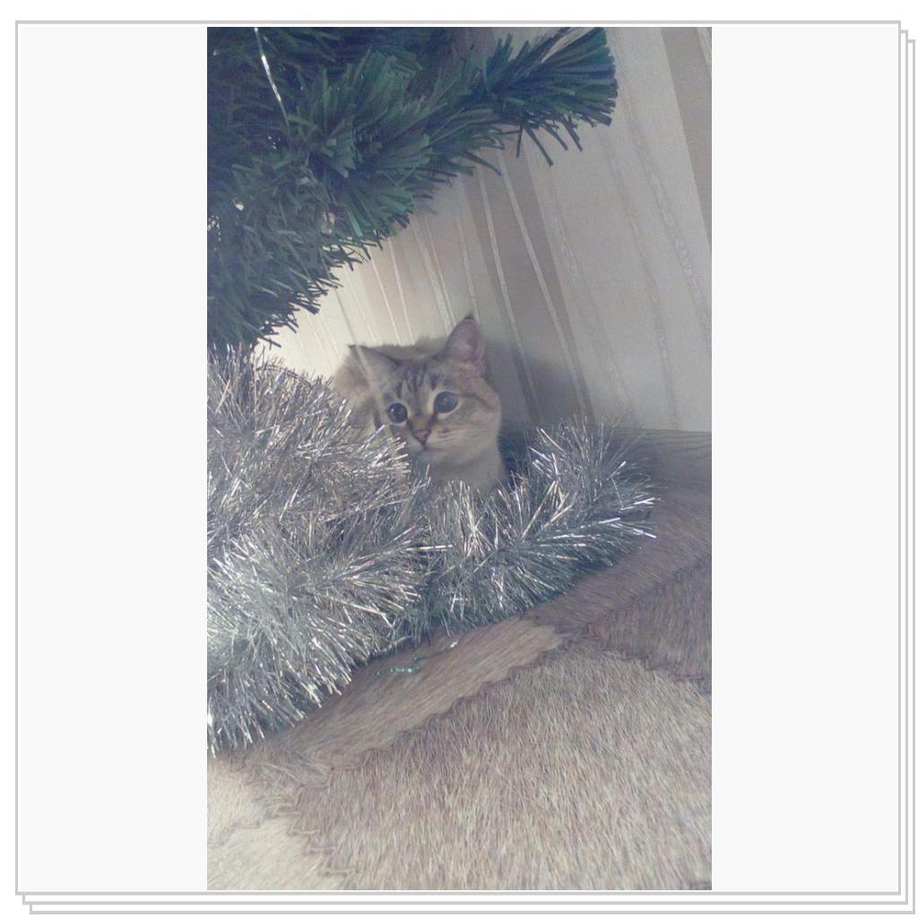 моя красавица Ласка