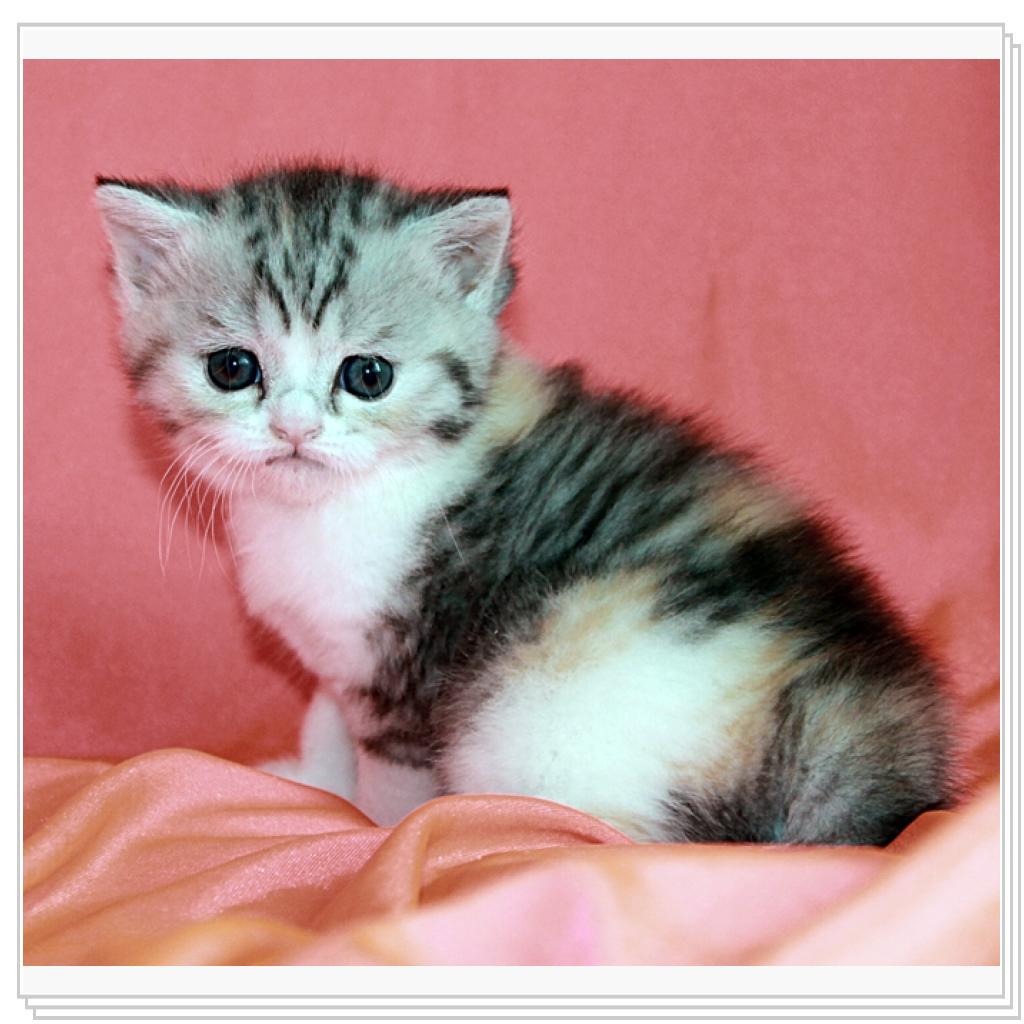 девочка-доча!