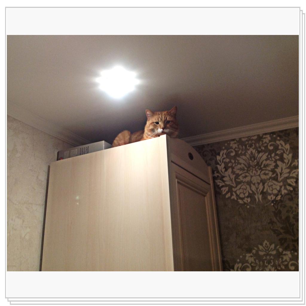 Любимое место