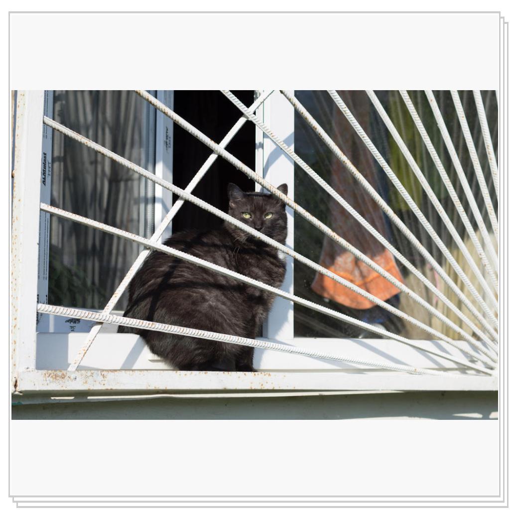 Сижу за решеткой, в темнице сырой...