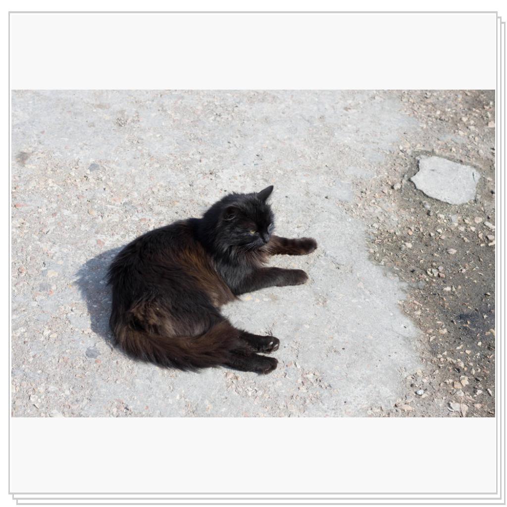 все тот же рыболов, только снятый ближе и другим фотоаппаратом