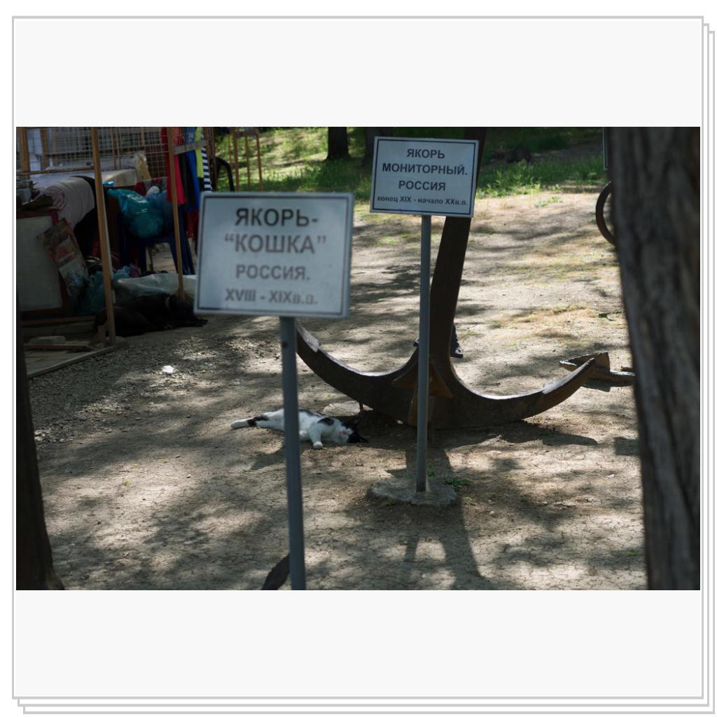 Якорь-кошка и живая кошка)))