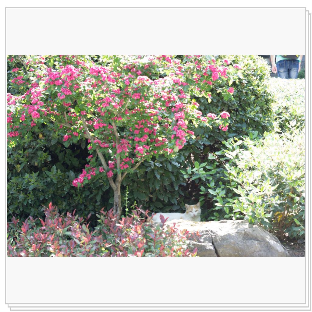 Парк Айвазовского