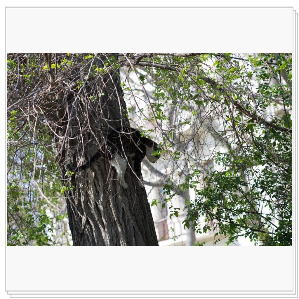 далеко сижу, далеко гляжу