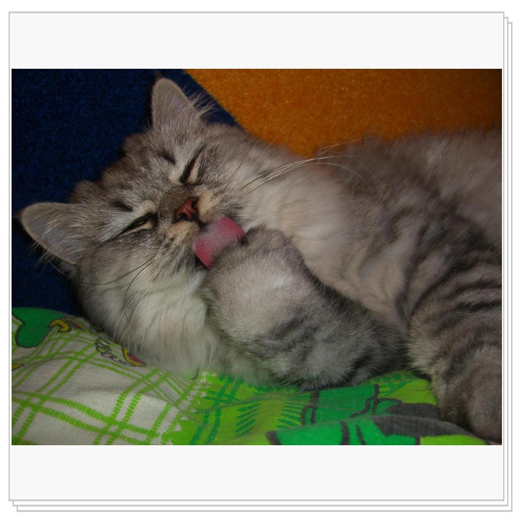 Чистота - залог здоровья