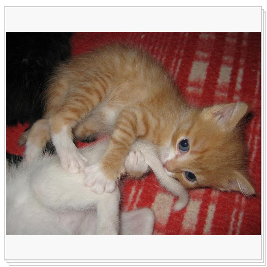 А вот что будет, если я его за хвост укушу?