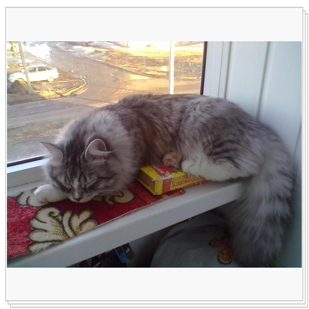 Парнишка в штанишках