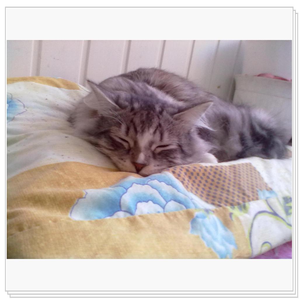 Парнишка в штанишках