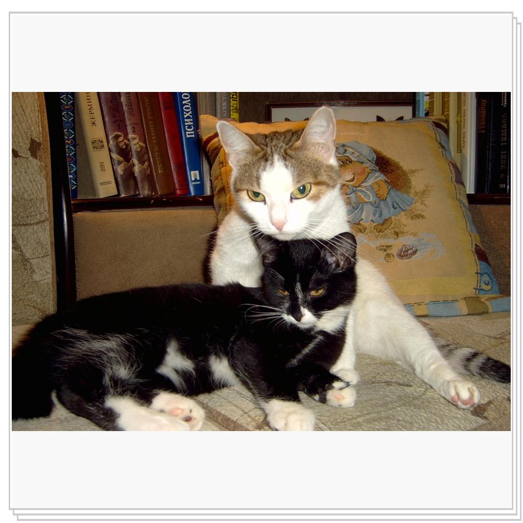 Ну и что, что не похож! Мой ребенок!