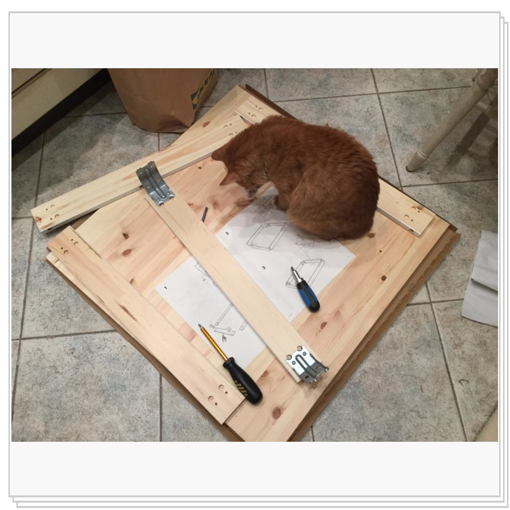 ничего эти хозяева в сборке не смыслят...