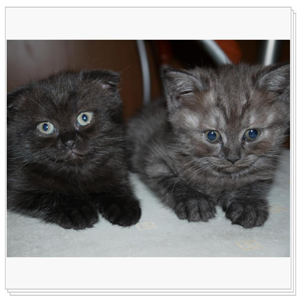 Первое потомство