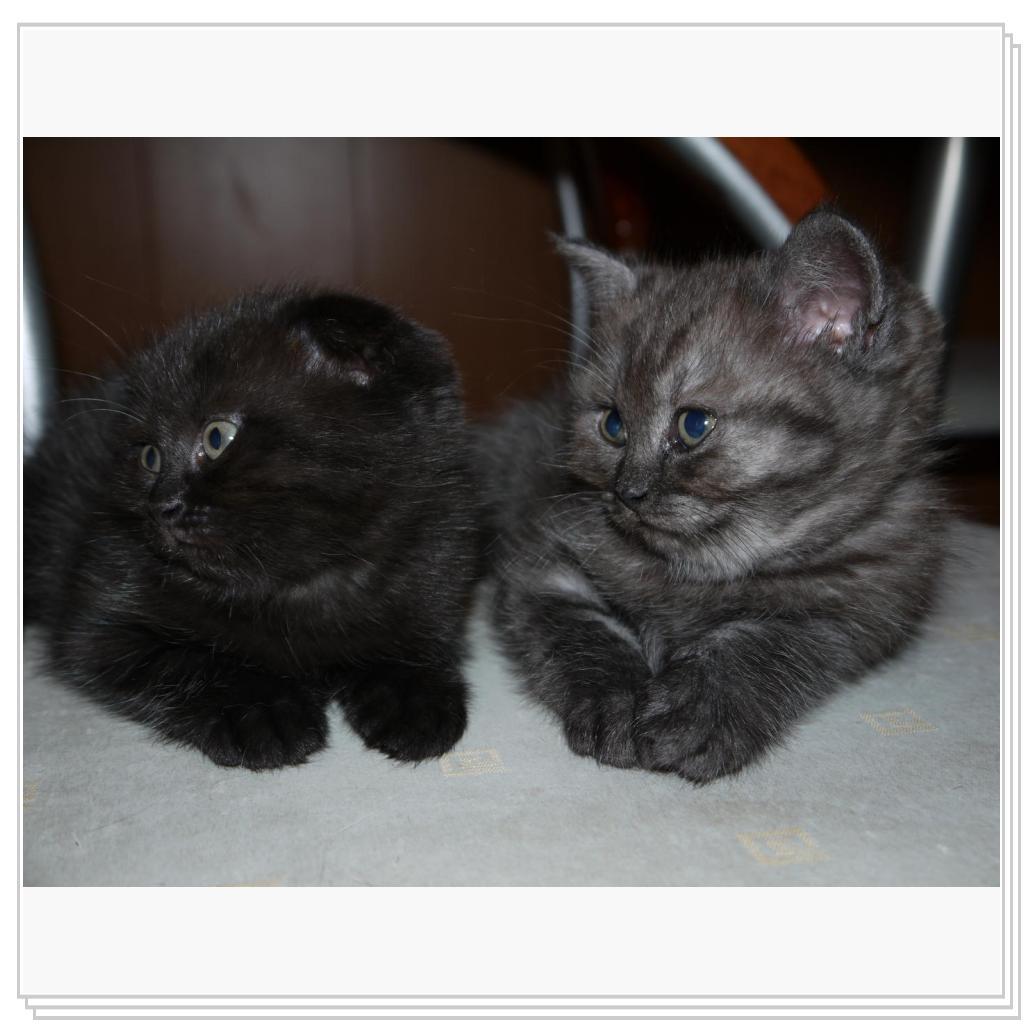 Равнение налево!!!