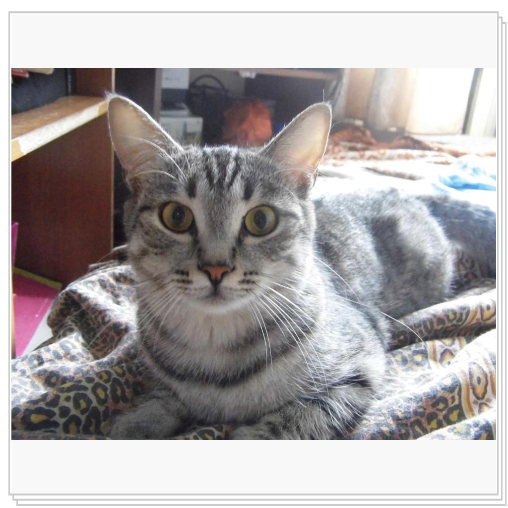 моя Соничка