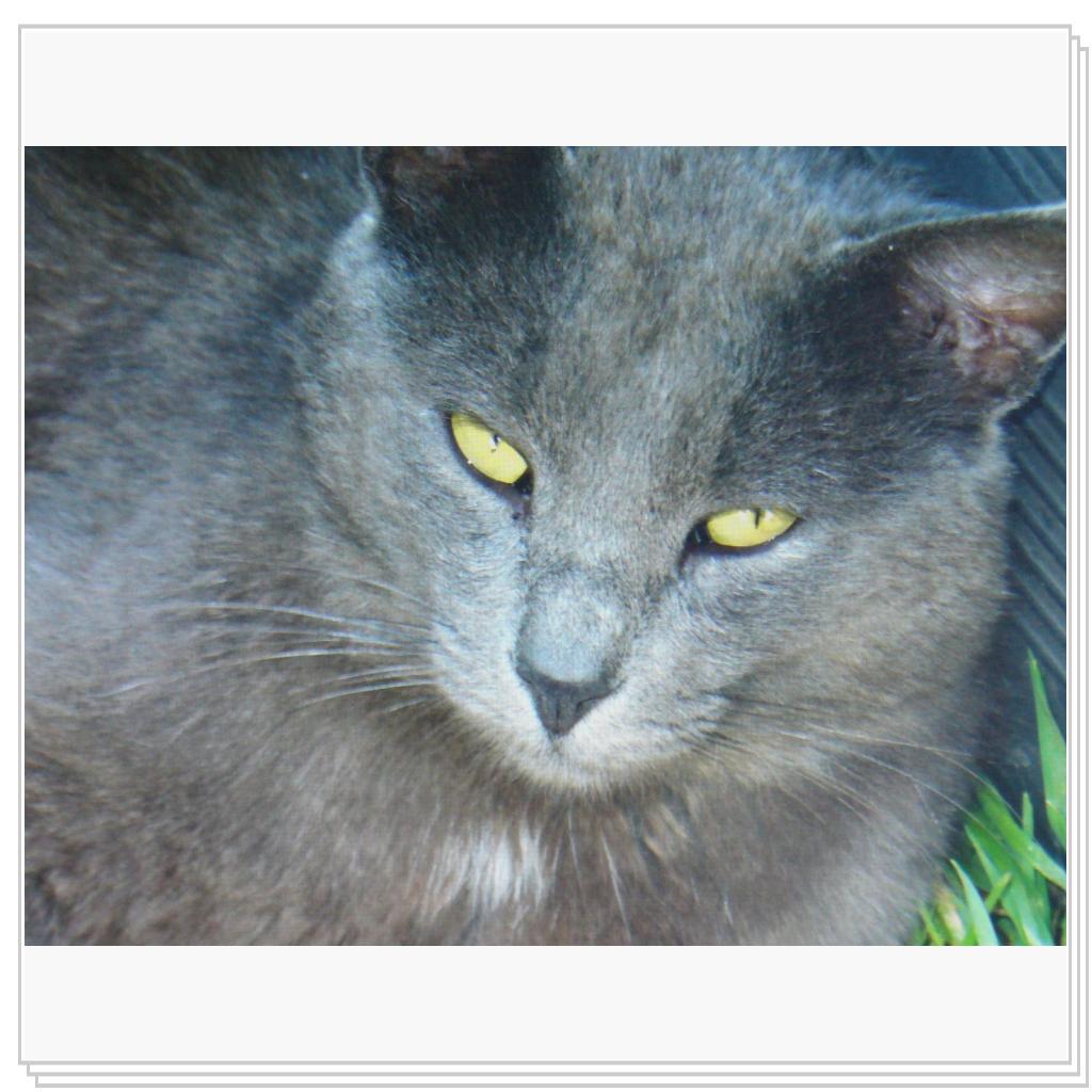 Памяти друга.