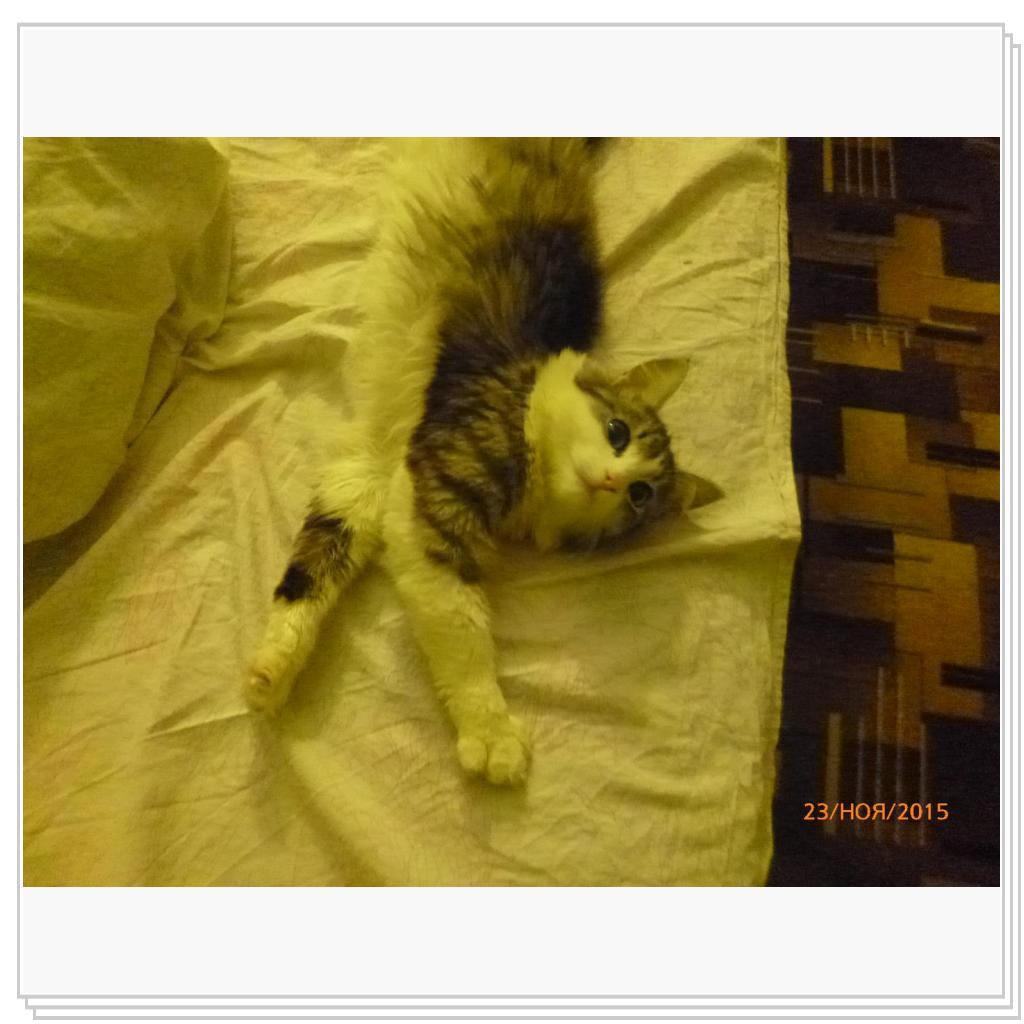 Помогу собраться в школу...