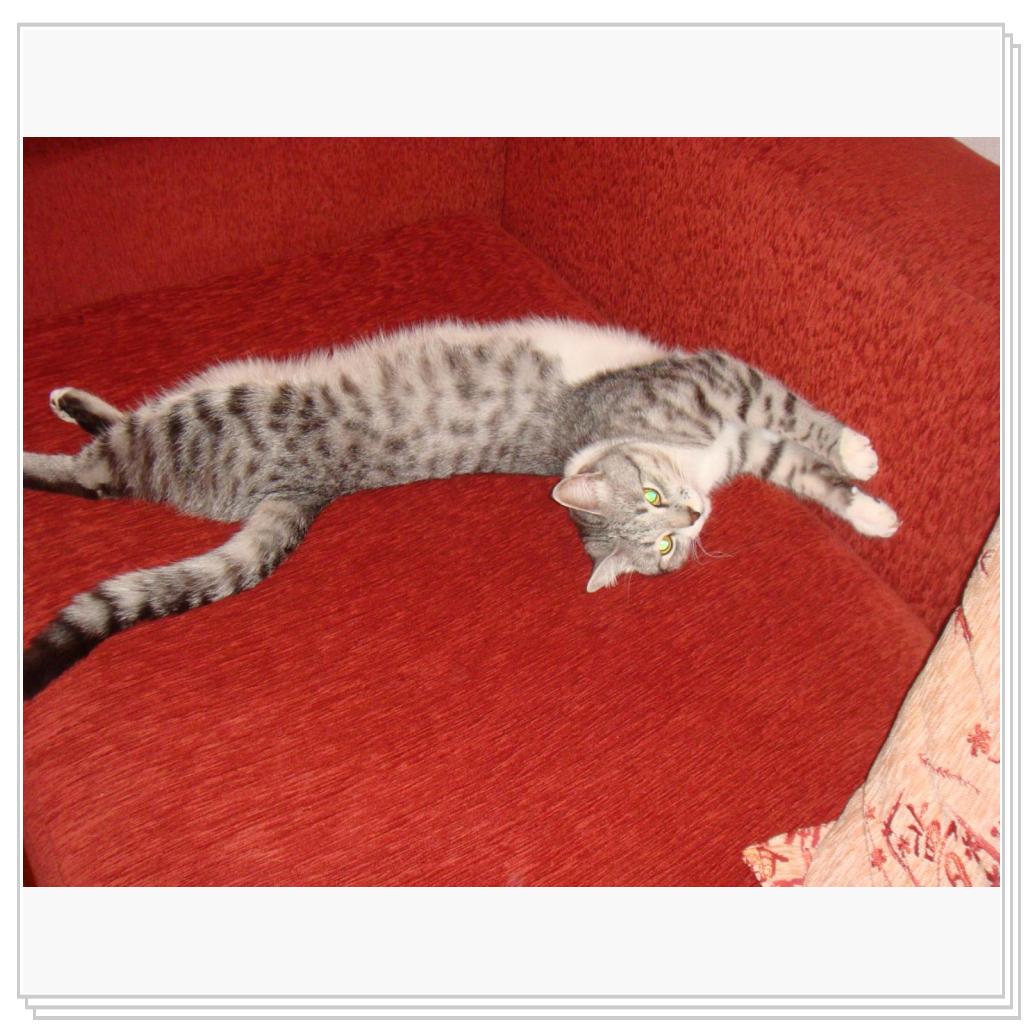 Фотографируйте, фотографируйте)))