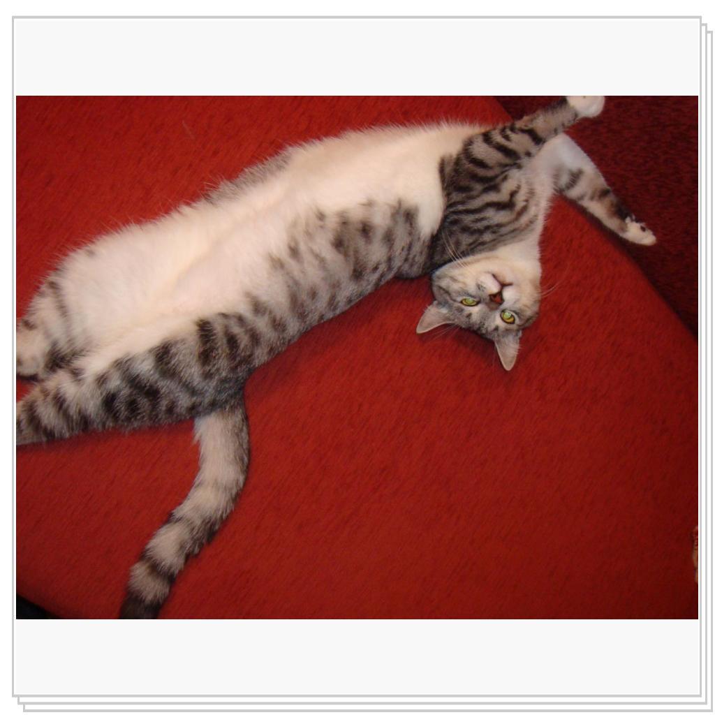 Вот как мы умеем вытяяяяягивааааться...