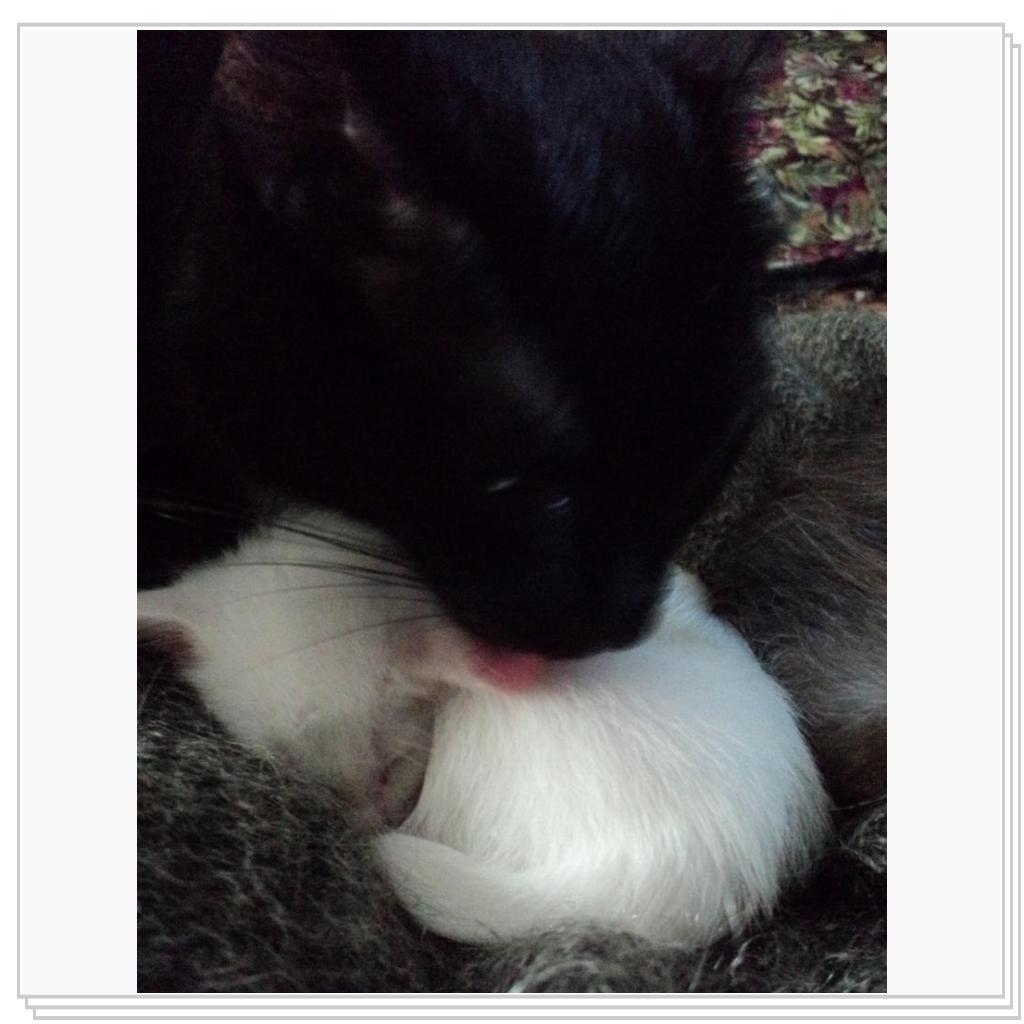 Бабушка и внучек