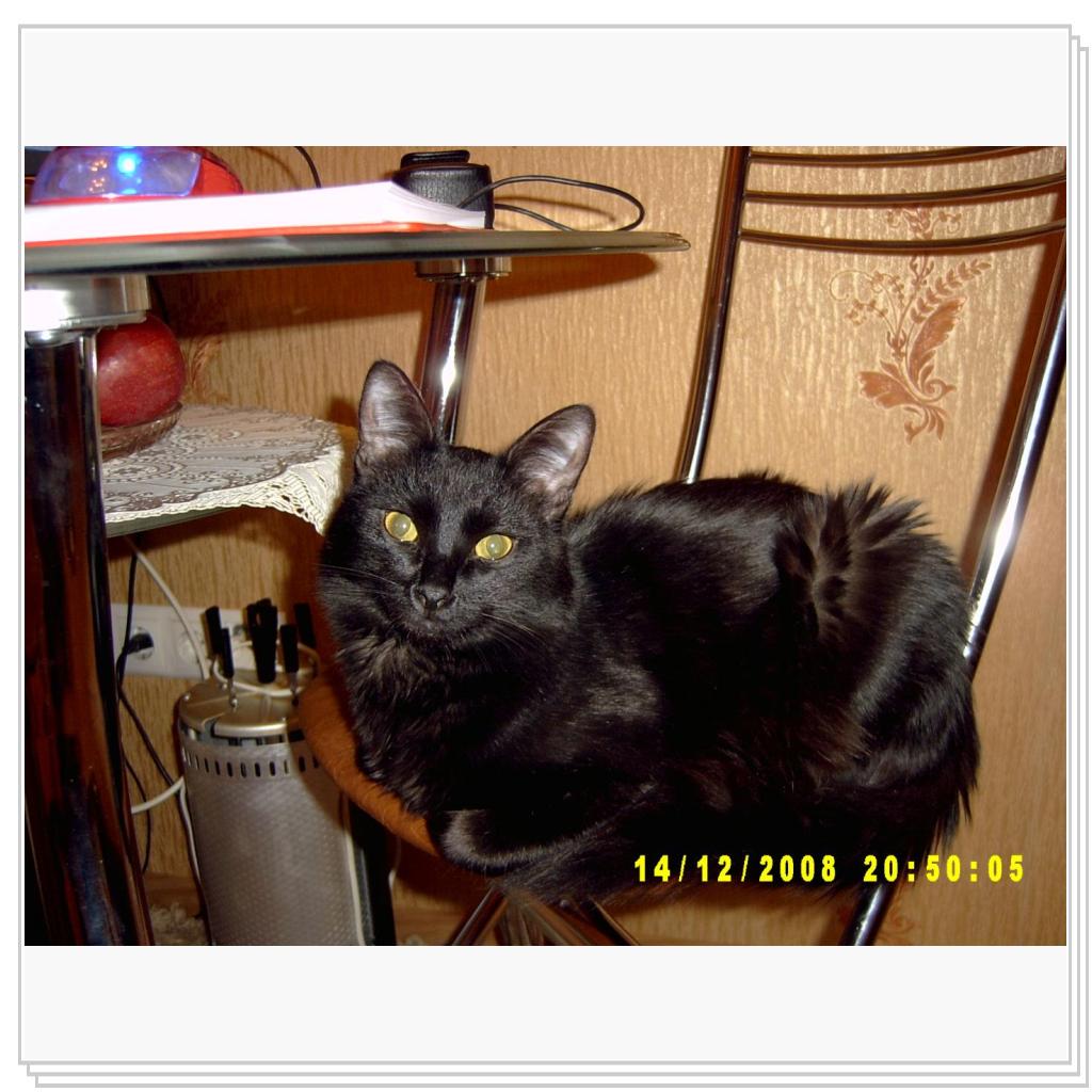 Вот какие мы выросли красавцы!